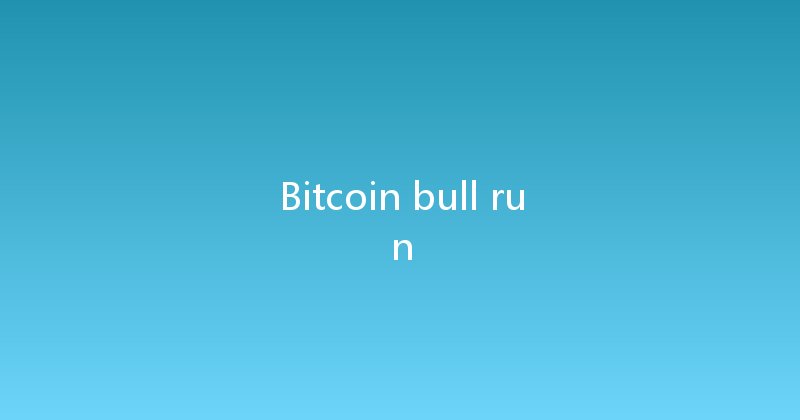 Bitcoin bull run 